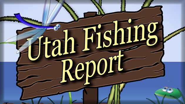 Utah Fishing Report